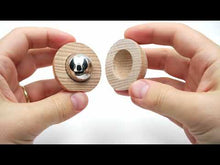 Load and play video in Gallery viewer, Magnet Shield