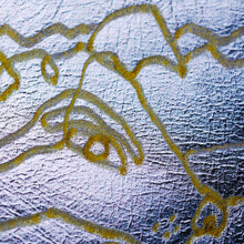 Load image into Gallery viewer, Feel Flux x Anna Amelie Limited Edition 24K Gold